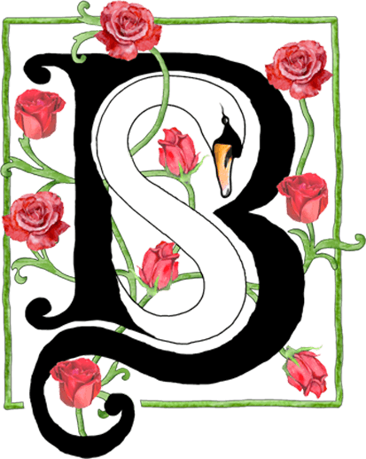 sb swan logo