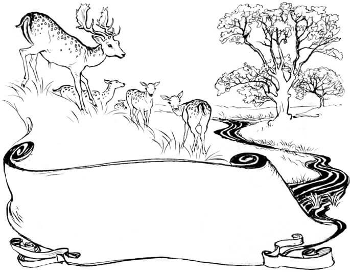 deer by stream illustration