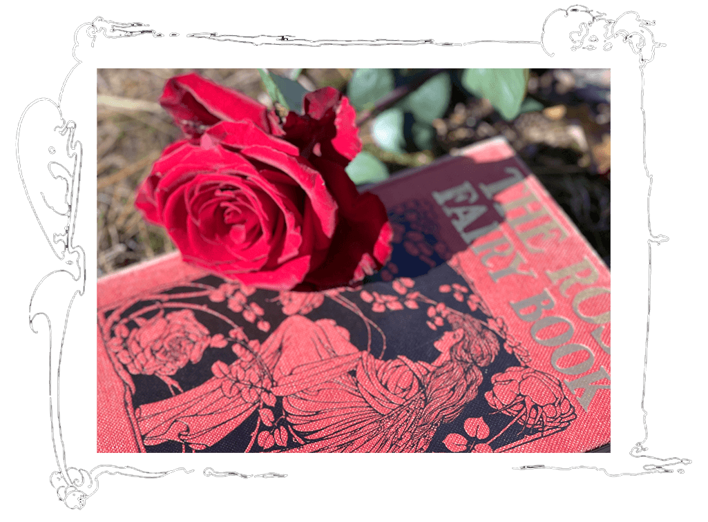 rose on book